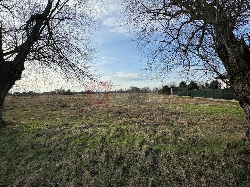 Lubczyna - działka o pow. 1052 m2 - piękna (5)