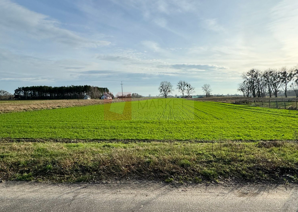 1,01 ha działka w Borzysławcu /k Lubczyny (1)