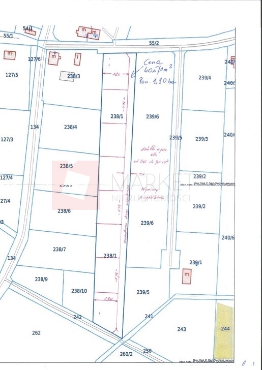 1,01 ha działka w Borzysławcu /k Lubczyny (3)