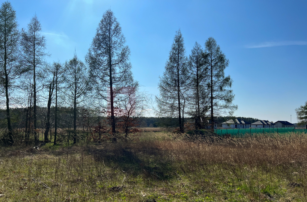 Białuń działka 1536 m2 z pozwoleniem na budowę. (2)