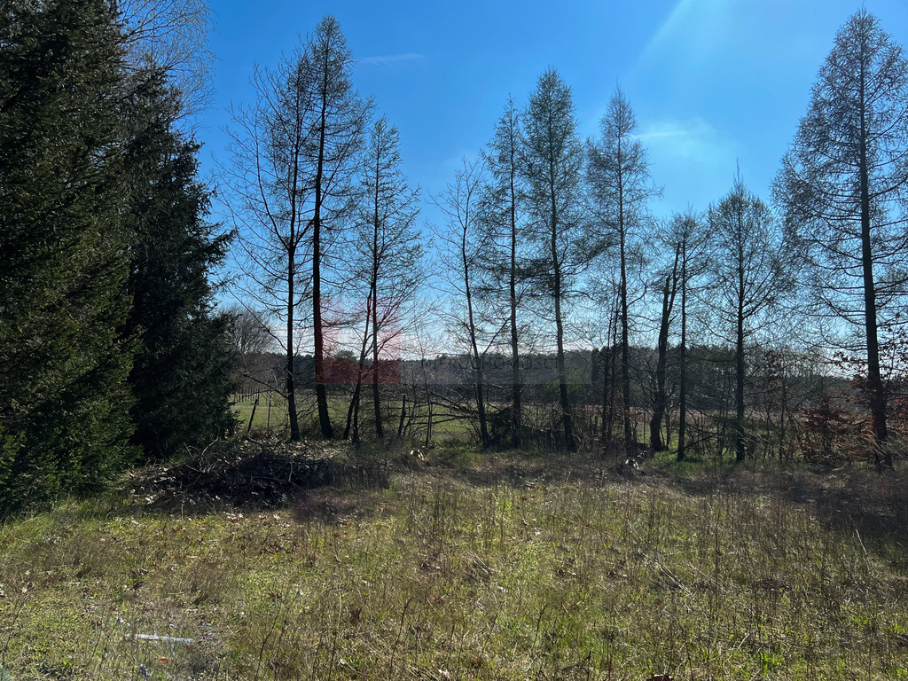 Białuń działka 1536 m2 z pozwoleniem na budowę. (3)