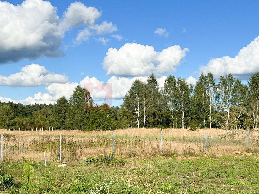 Dom drewniany na dużej działce Białuń. NA SPRZEDAŻ (16)