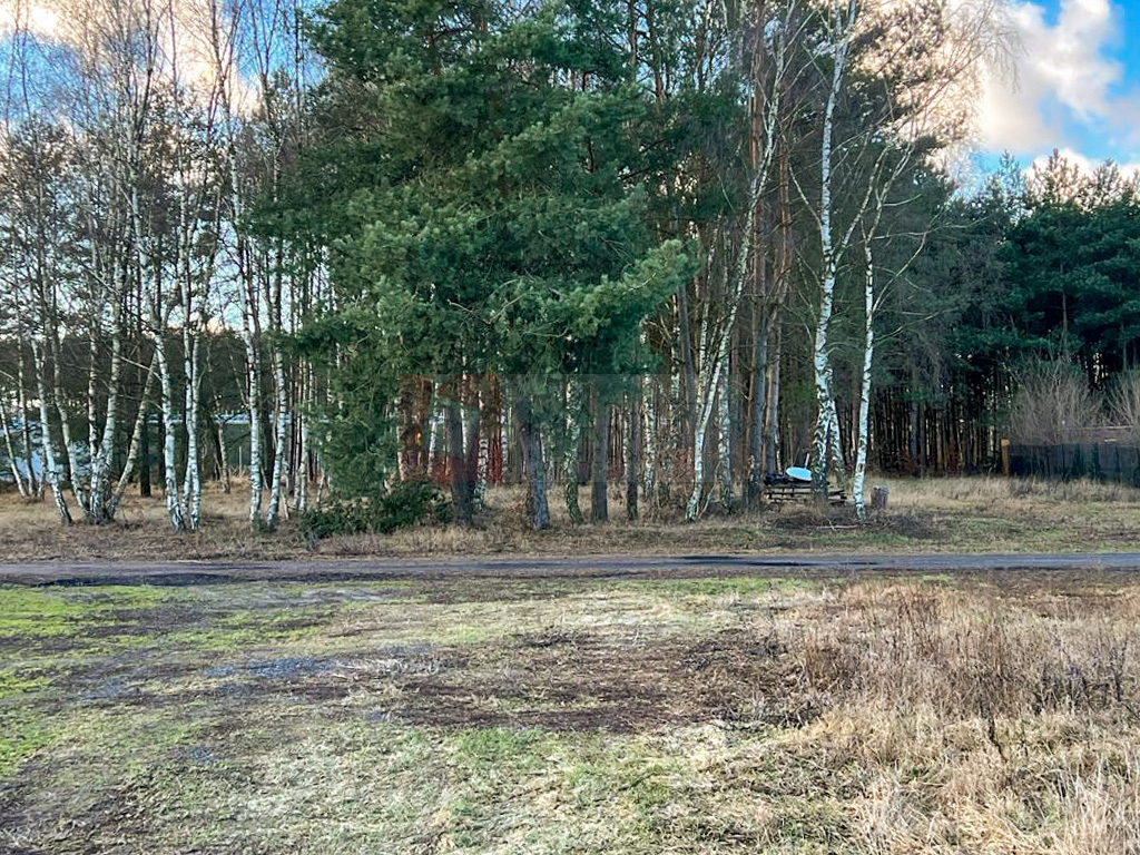 Atrakcyjna działka 1000 m2 - 70 000 pln Babigoszcz (2)