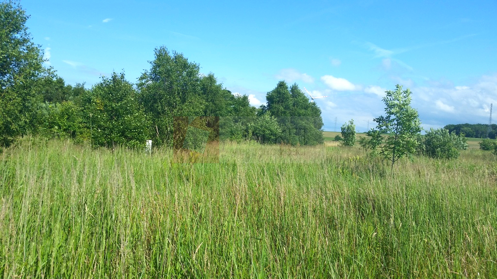 Działki w Lędzinie (3)