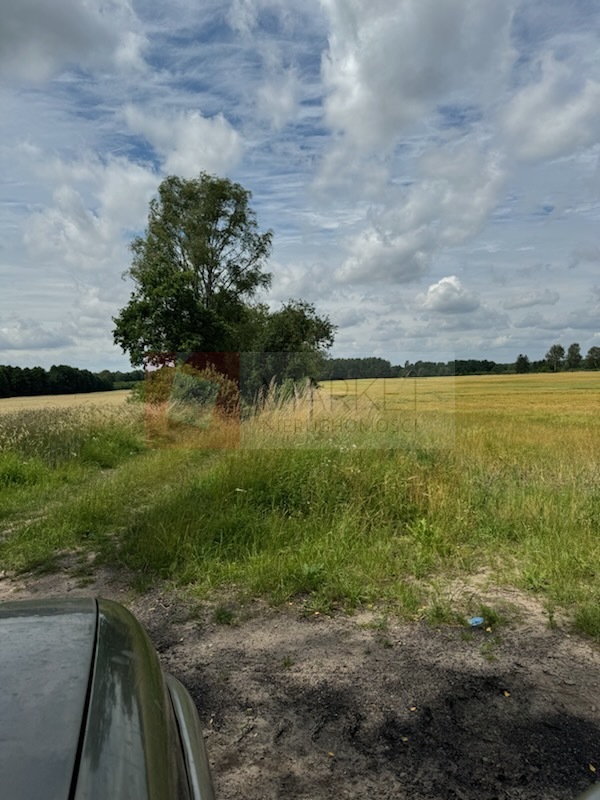 Grunty rolne 25 ha (1)