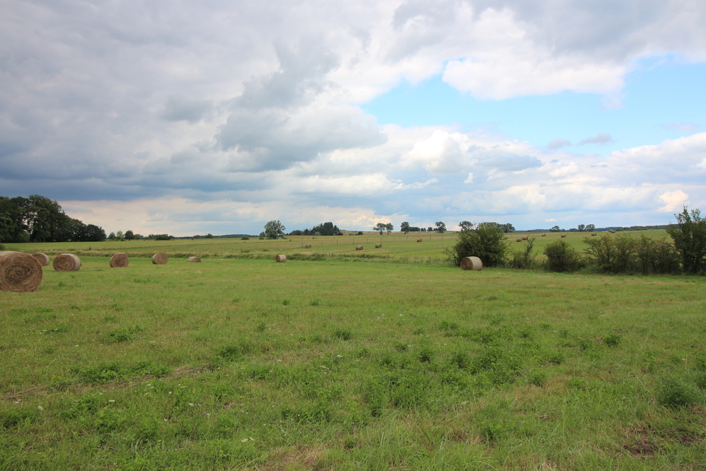 Działka inwestycyjna w pięknej okolicy (1)