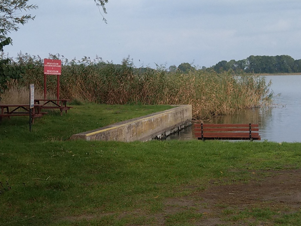 Świetny teren inwestycyjny - Sierosław (5)