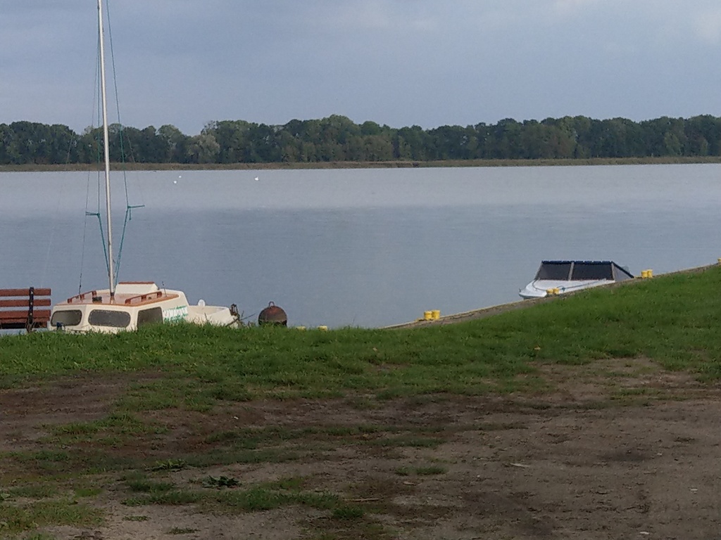 Świetny teren inwestycyjny - Sierosław (6)