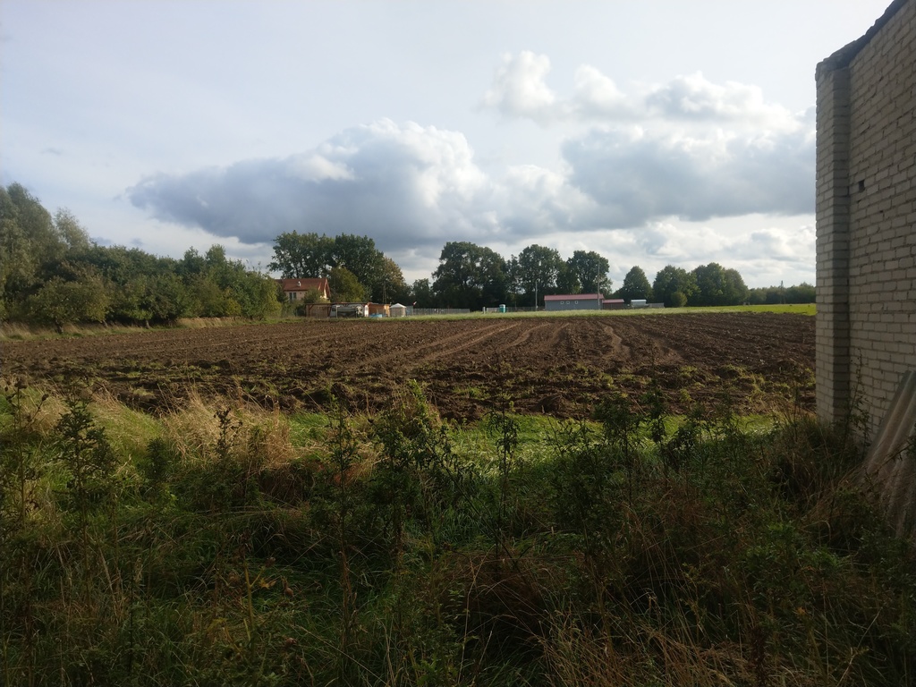 Świetny teren inwestycyjny - Sierosław (4)