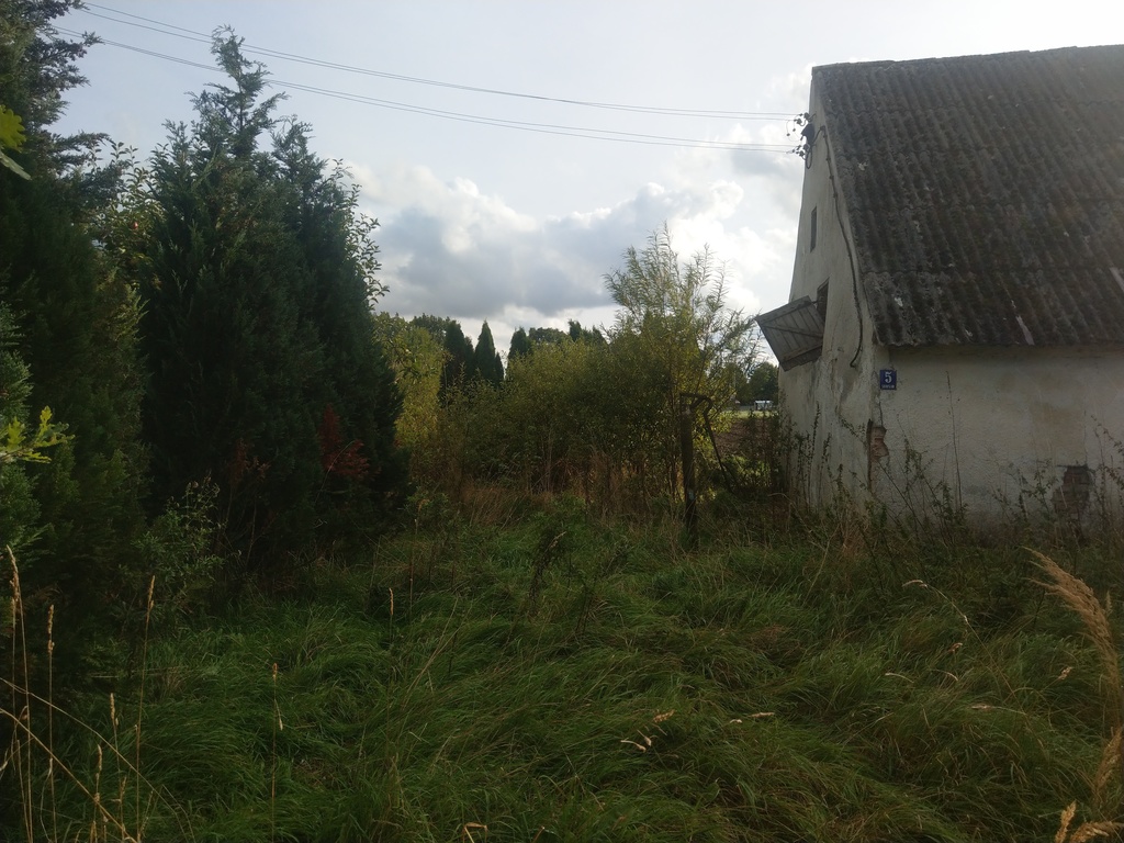 Świetny teren inwestycyjny - Sierosław (3)