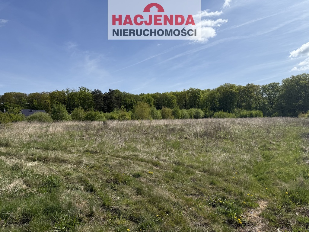 Budowlana, 1,231 m2, Siedlice  (2)