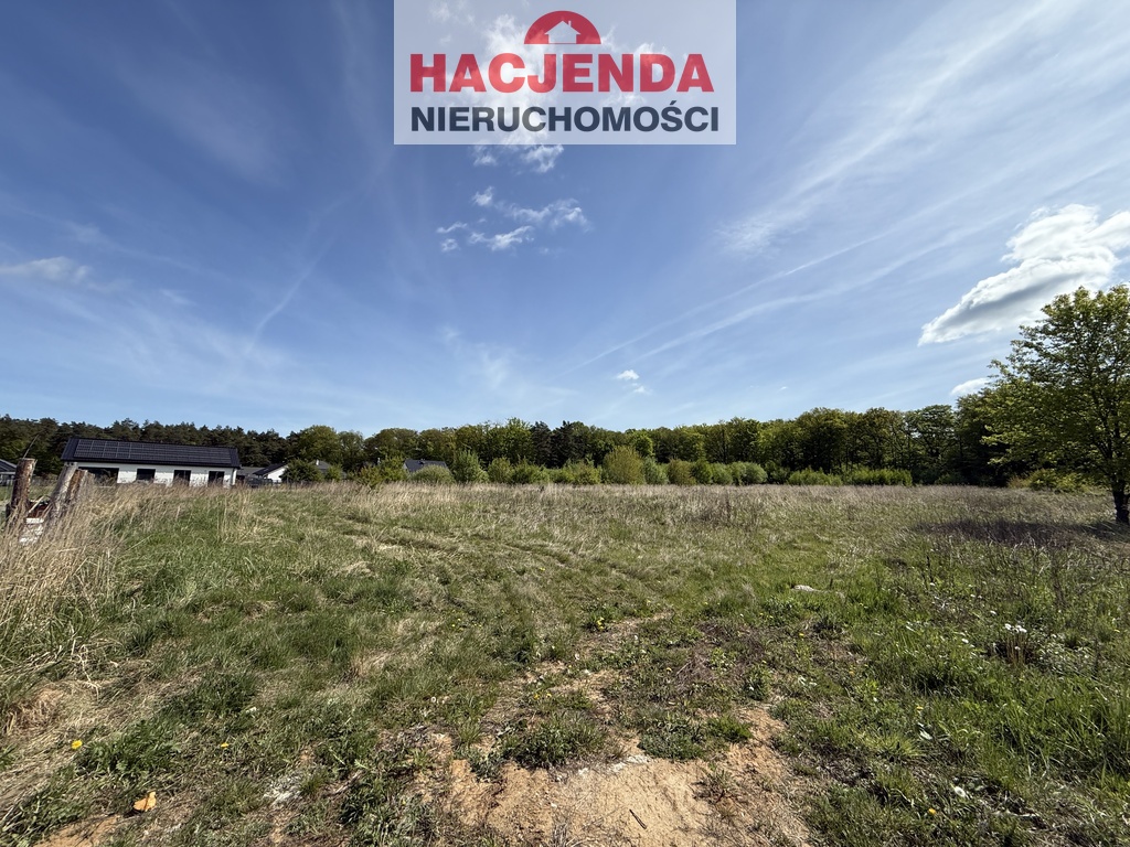 Budowlana, 1,231 m2, Siedlice  (3)