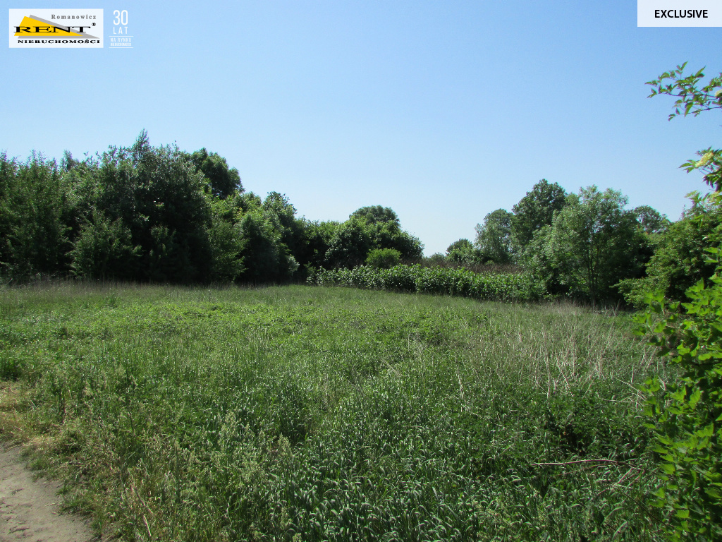 Działka w Sadlnie (1)