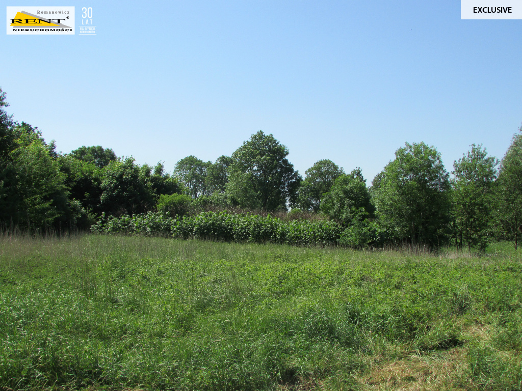 Działka w Sadlnie (2)