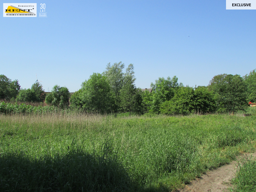 Działka w Sadlnie (3)