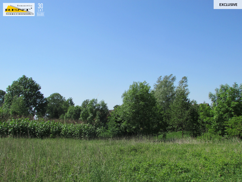 Działka w Sadlnie (4)