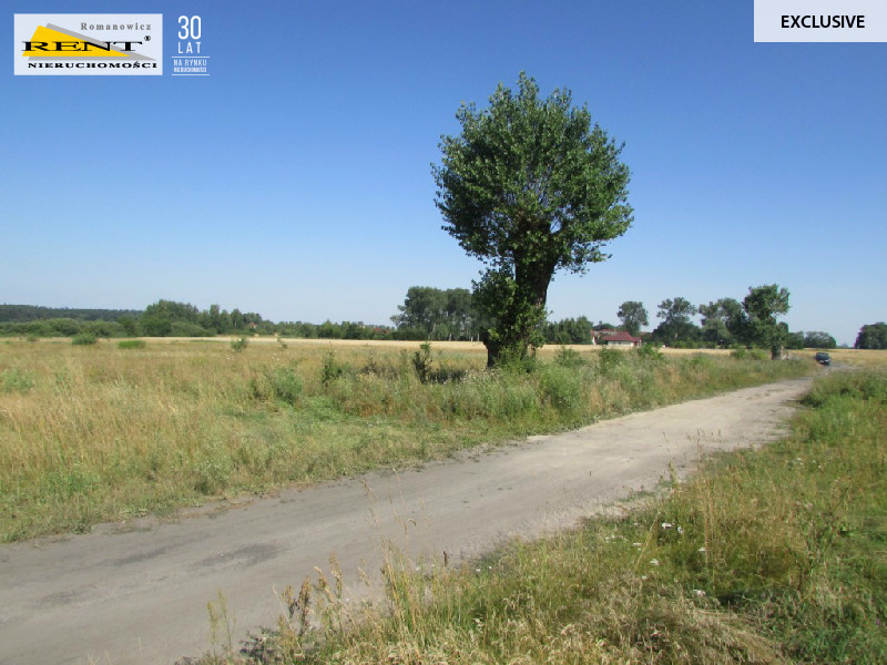 Działka siedliskowa w Kicku (1)