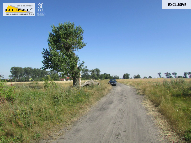 Działka siedliskowa w Kicku (2)