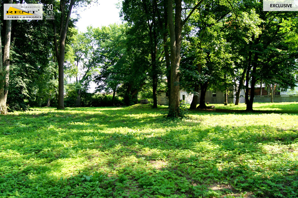 Działka w Kluczewie (1)