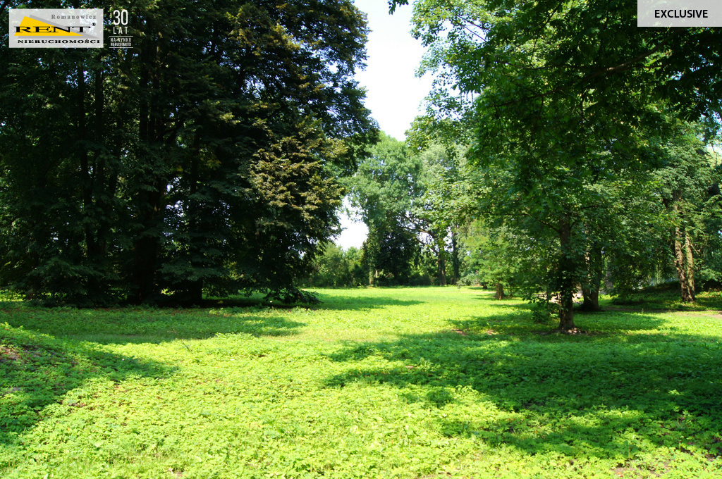 Działka w Kluczewie (2)