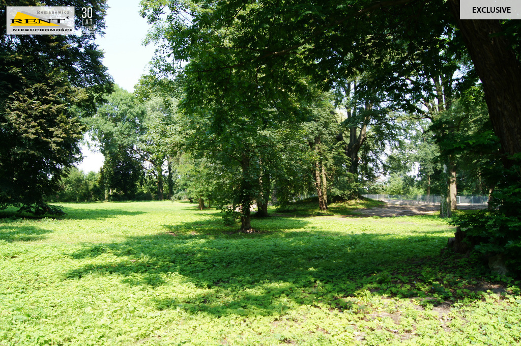 Działka w Kluczewie (3)