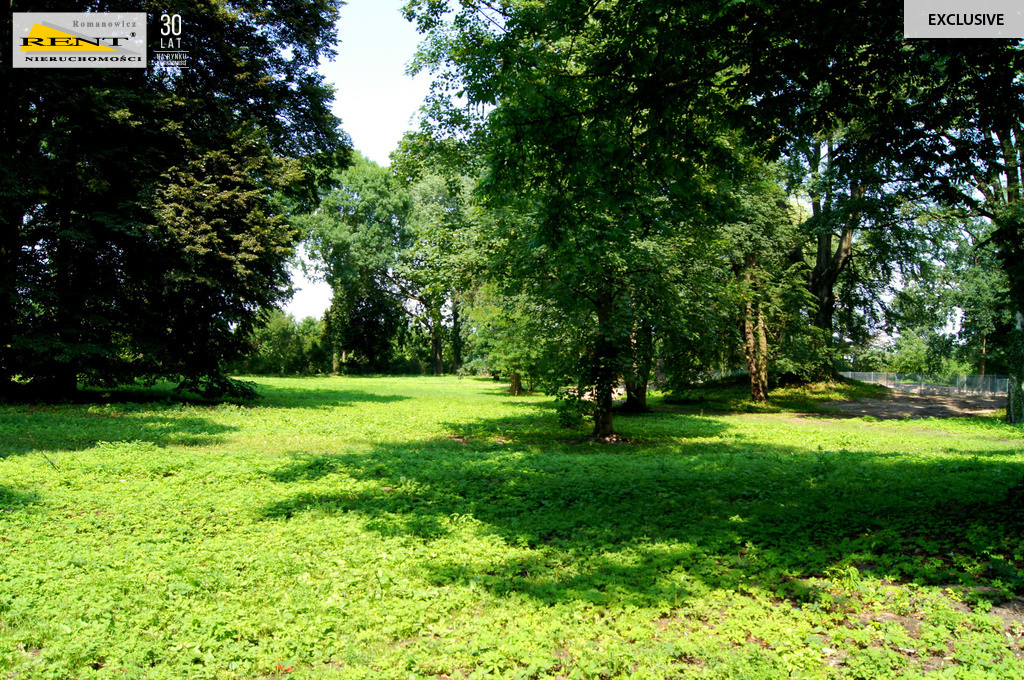 Działka w Kluczewie (4)