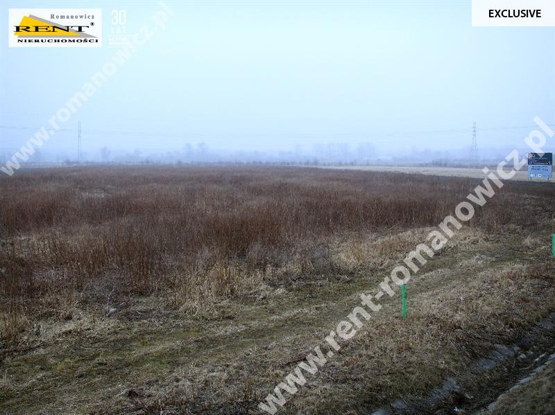 Działka rolna przy obwodnicy Kobylanki (2)