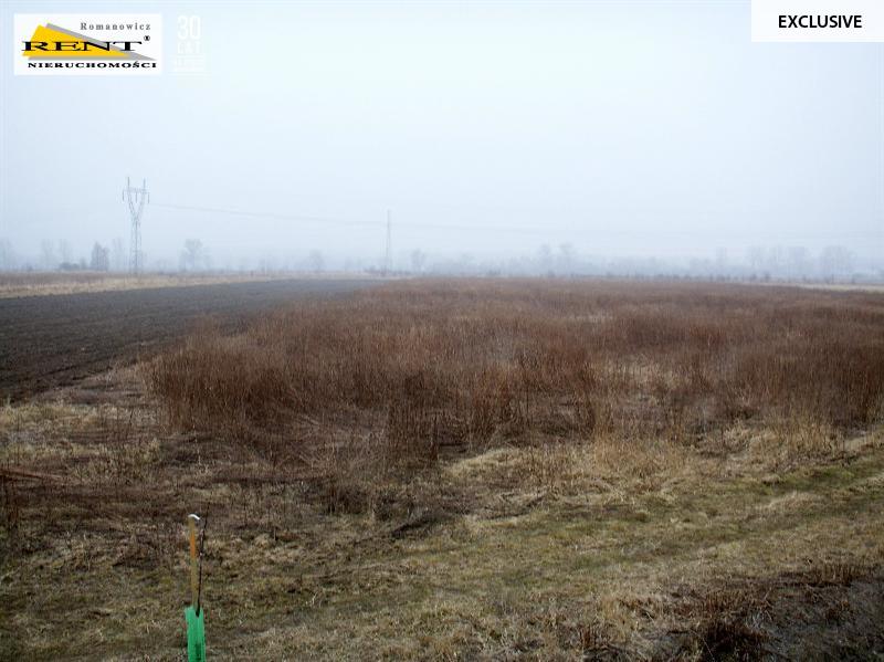 Działka rolna przy obwodnicy Kobylanki (3)