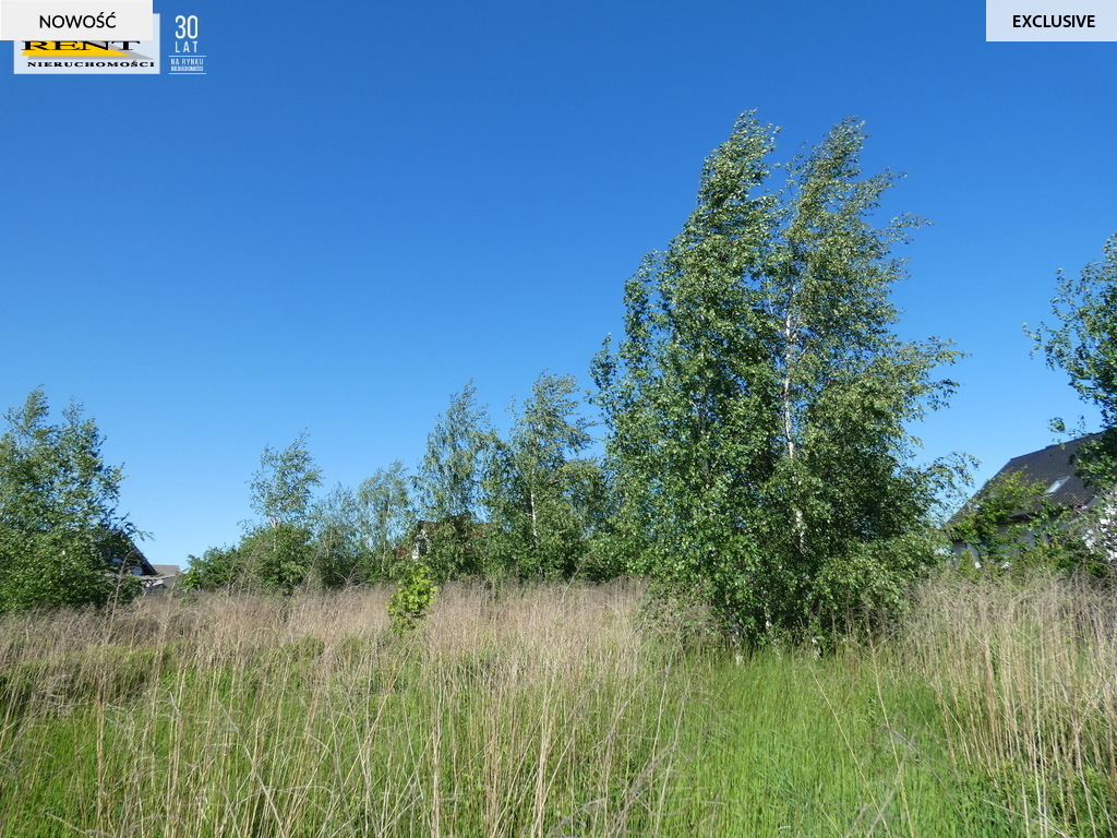 Działka budowlana w Maszewie (12)