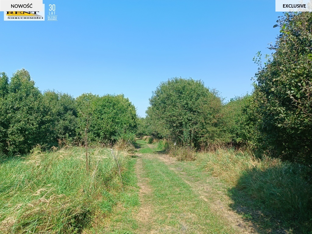 Działka nad Jeziorem Będgoszcz (2)