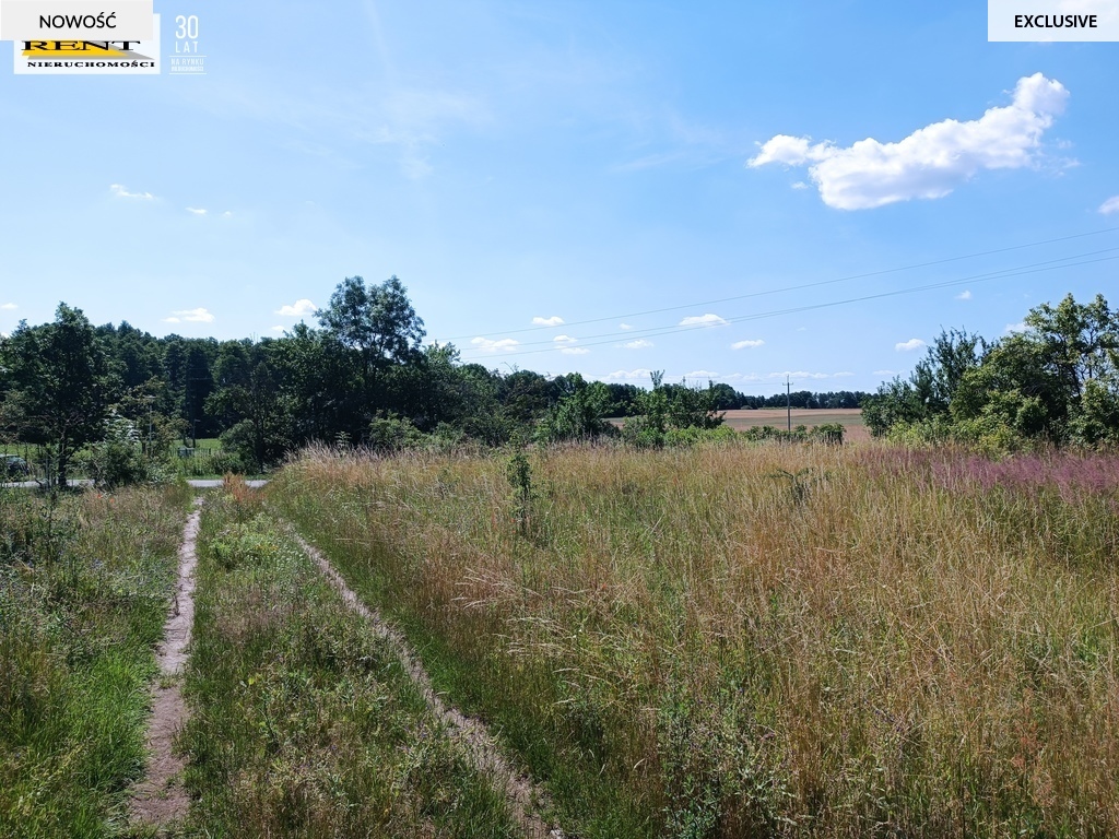 Działka w miejscowości Breń gm. Bierzwnik (4)