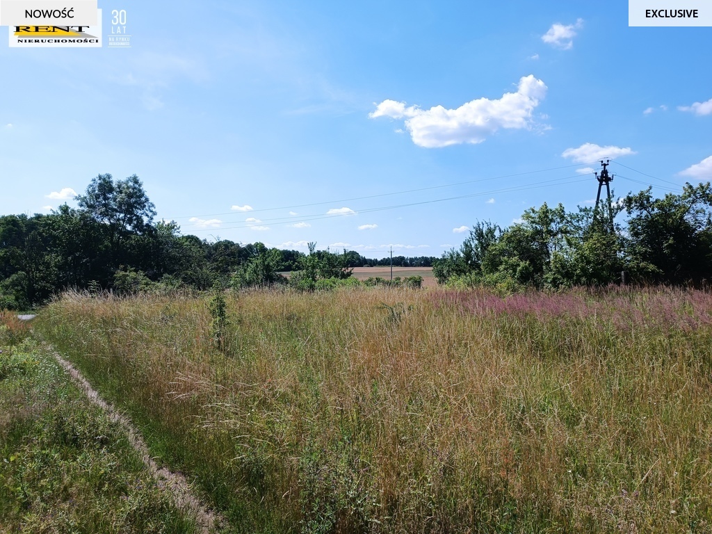 Działka w miejscowości Breń gm. Bierzwnik (5)