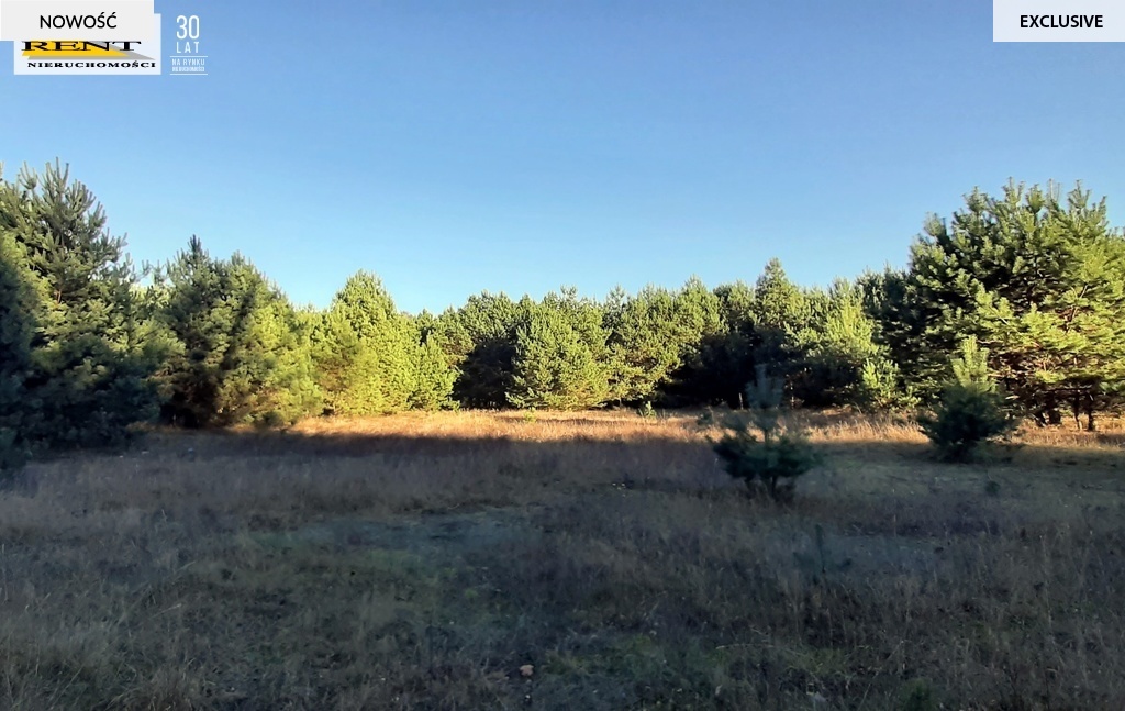 Działka pod lasem  blisko wody  Okazja (5)