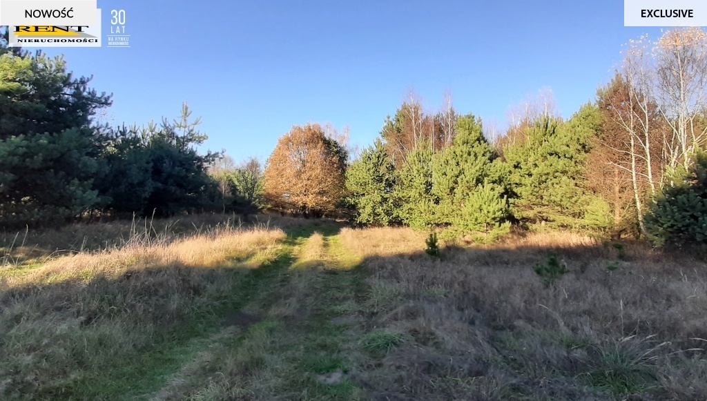 Działka pod lasem  blisko wody  Okazja (1)