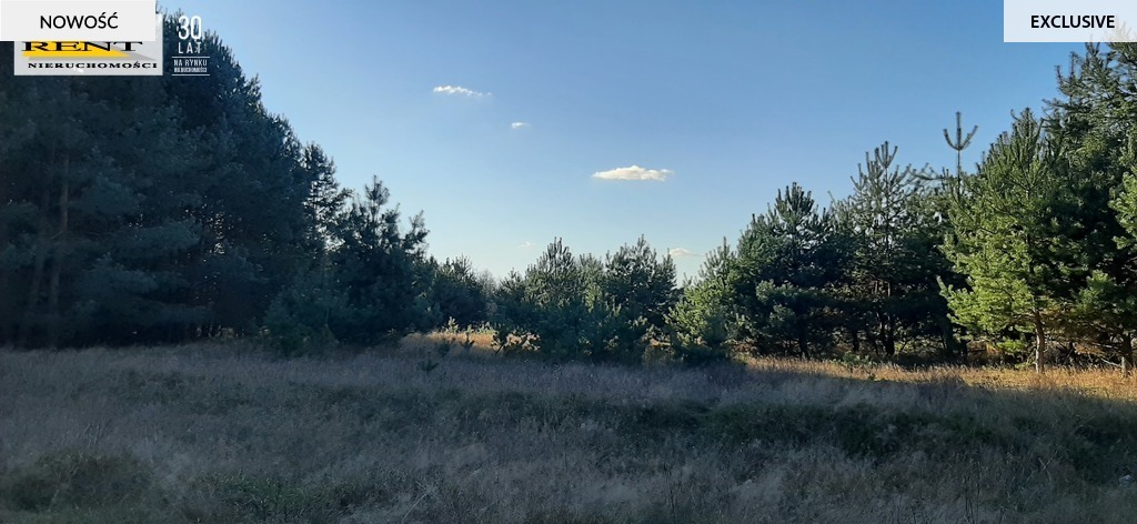 Działka pod lasem  blisko wody  Okazja (8)