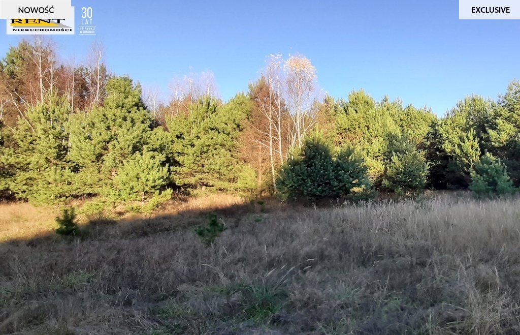 Działka pod lasem  blisko wody  Okazja (9)