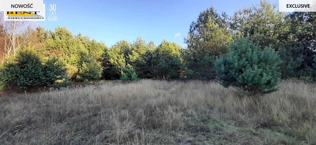 Działka pod lasem  blisko wody  Okazja (10)