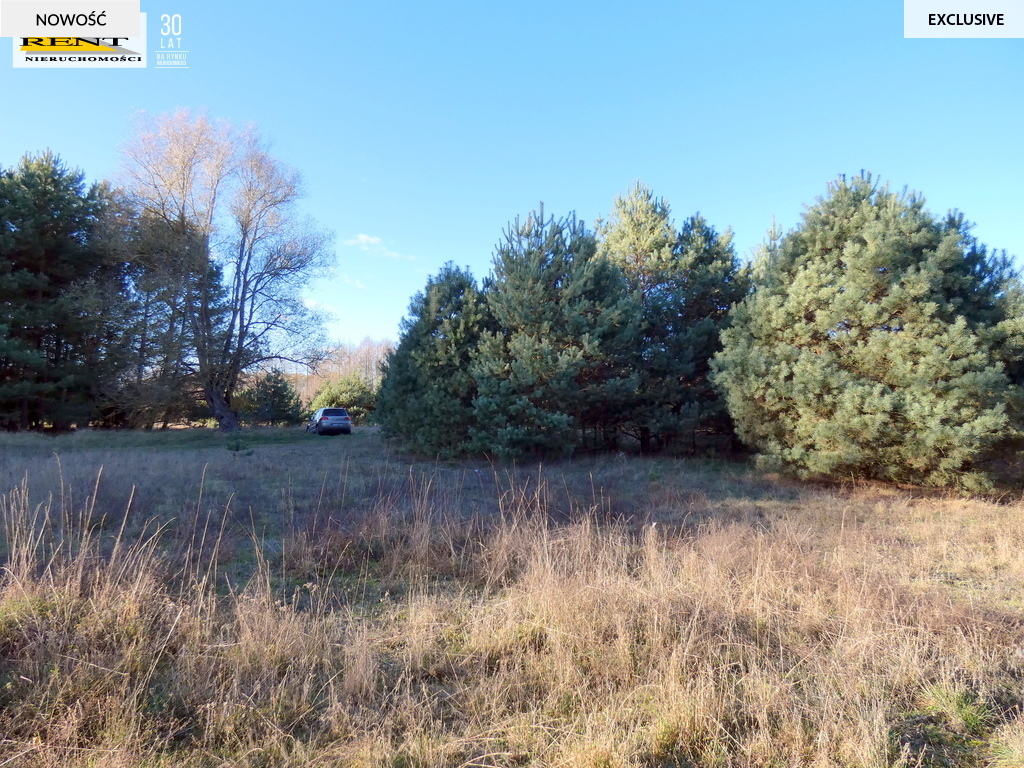 Działka pod lasem  blisko wody  Okazja (13)
