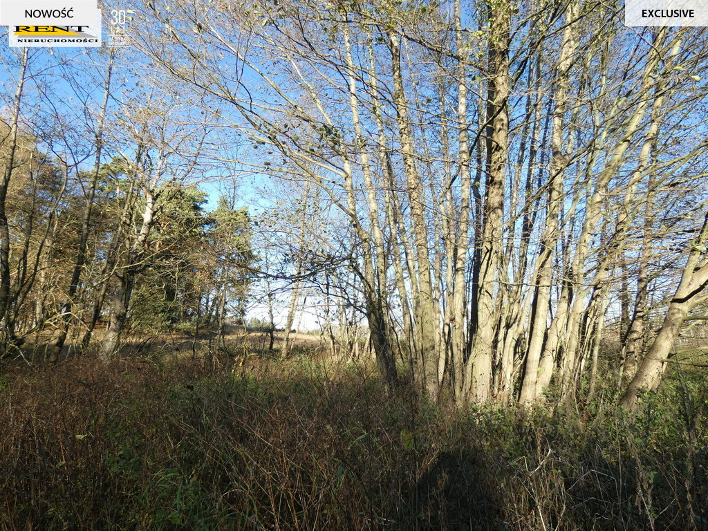 Działka pod lasem  blisko wody  Okazja (14)