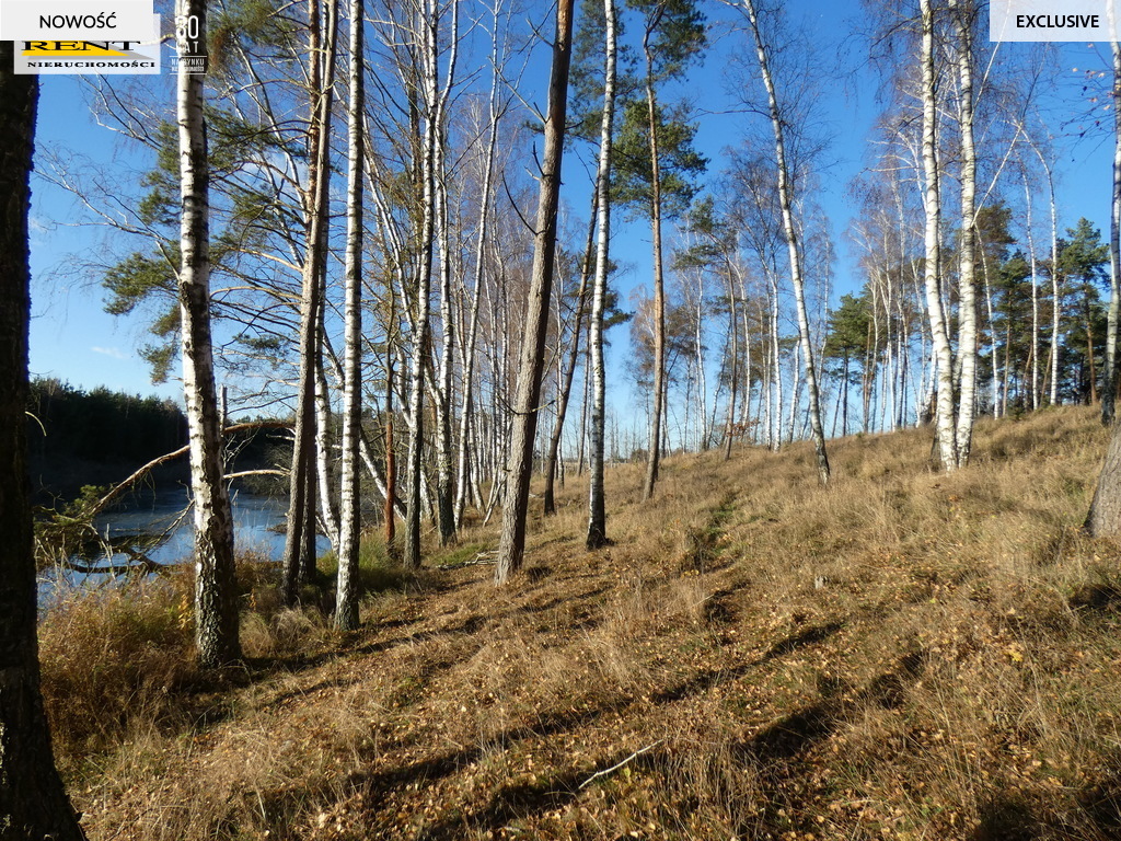 Działka pod lasem  blisko wody  Okazja (3)