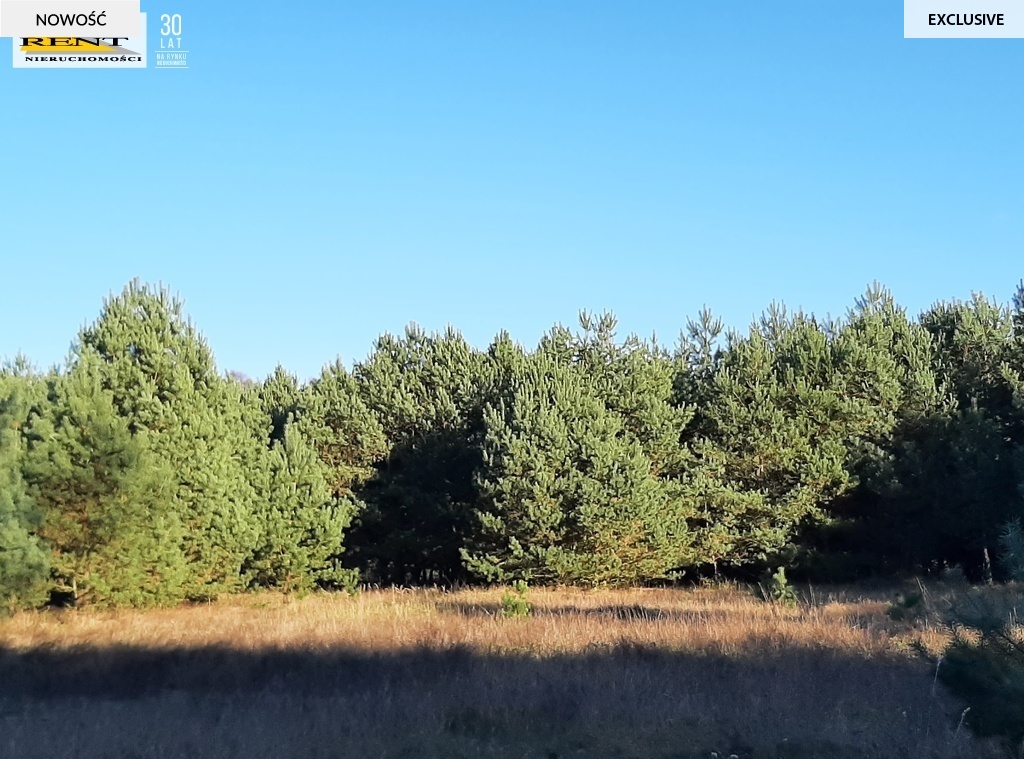 Działka pod lasem  blisko wody  Okazja (3)