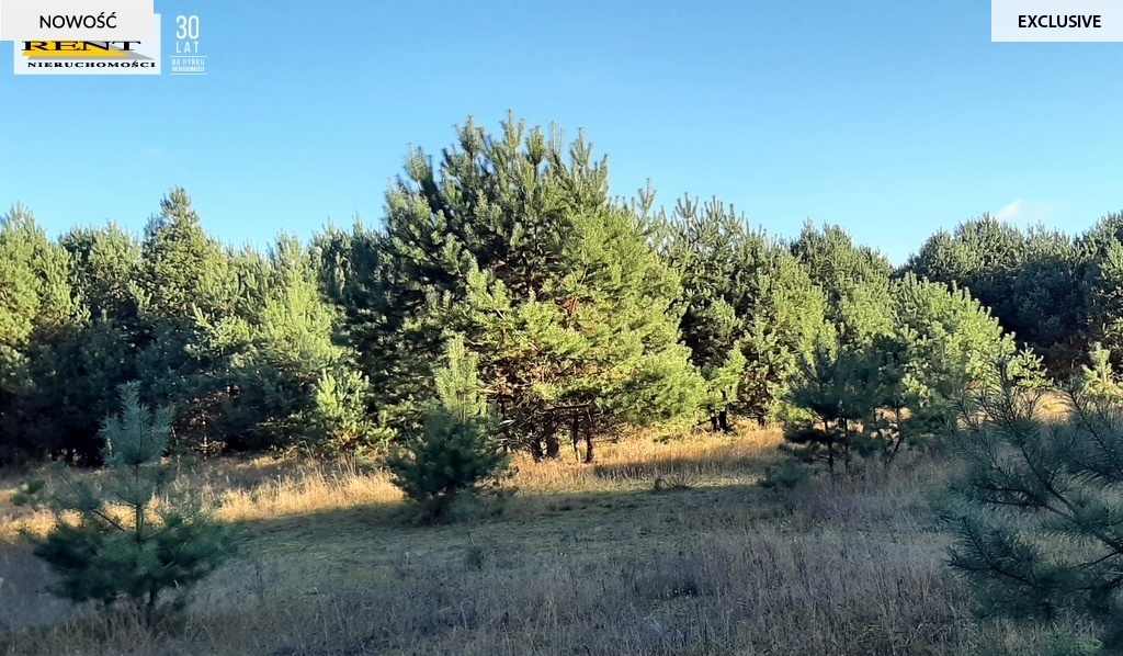 Działka pod lasem  blisko wody  Okazja (6)