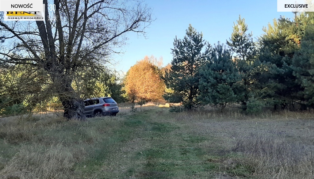 Działka pod lasem  blisko wody  Okazja (7)