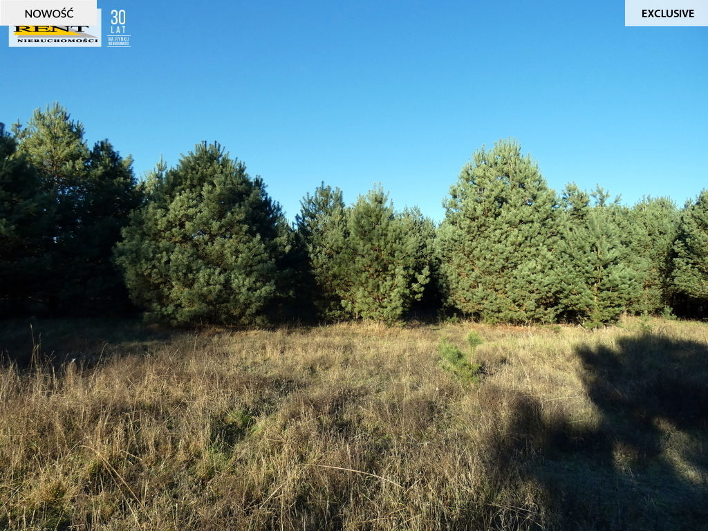 Działka pod lasem  blisko wody  Okazja (11)