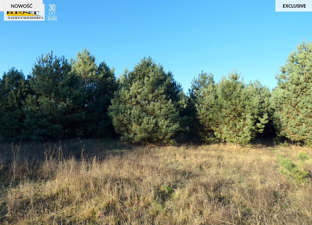 Działka pod lasem  blisko wody  Okazja (12)