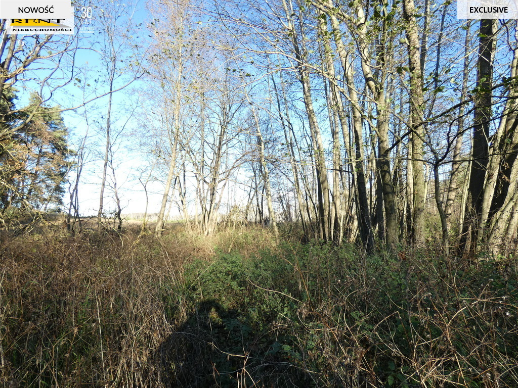 Działka pod lasem  blisko wody  Okazja (16)