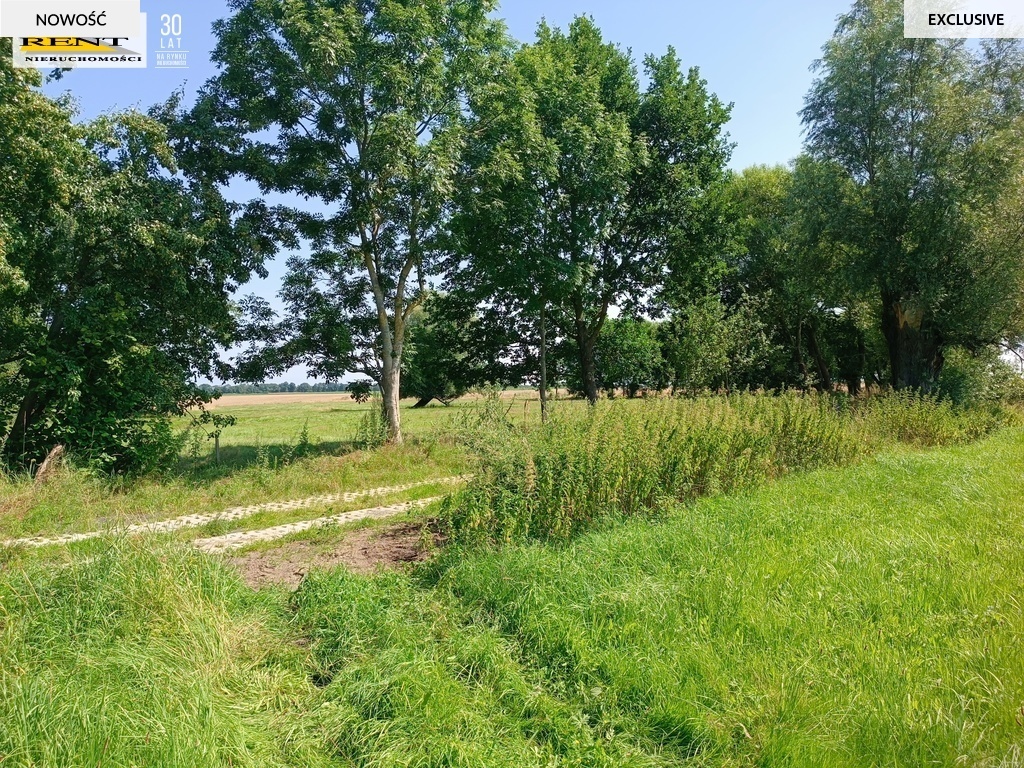 Działka 3,5 km od plaży w Mrzeżynie! (8)