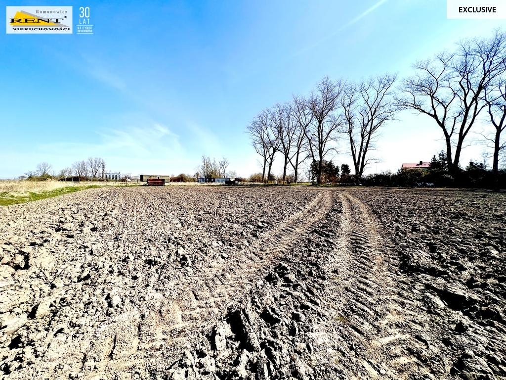 Działka w Trzebuszu (4)