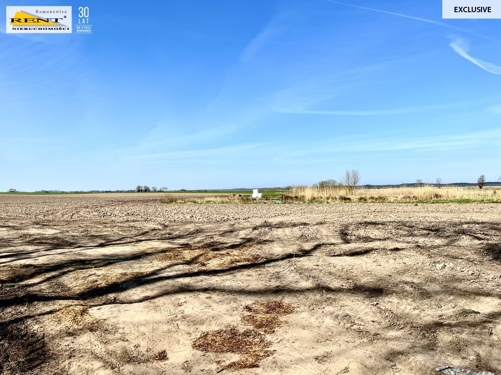 Działka w Trzebuszu (5)