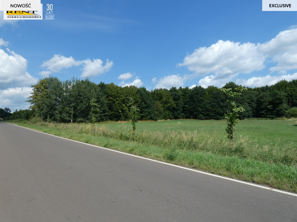 Działka budowlana w Dębicy k.Maszewa (10)